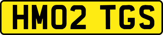 HM02TGS
