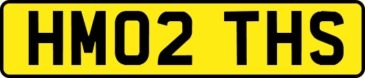 HM02THS
