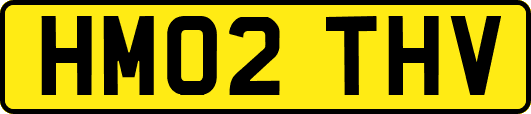 HM02THV