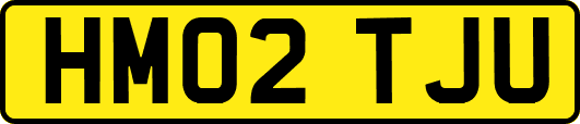HM02TJU
