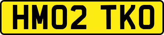 HM02TKO