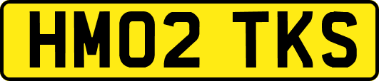 HM02TKS