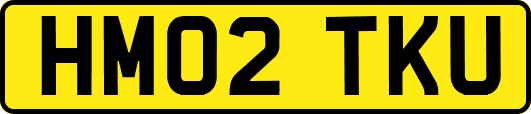 HM02TKU