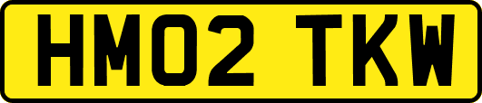 HM02TKW