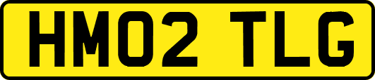 HM02TLG