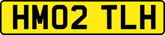 HM02TLH