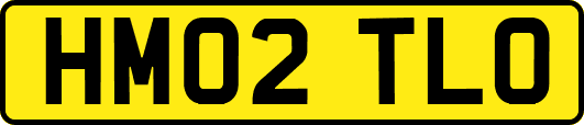 HM02TLO