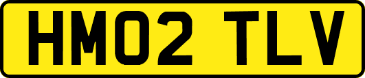 HM02TLV