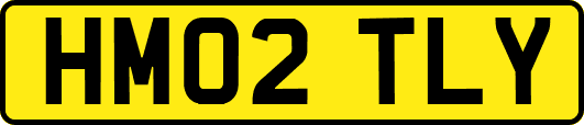 HM02TLY