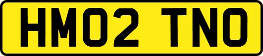 HM02TNO