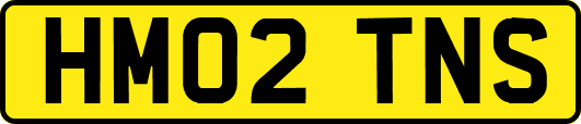 HM02TNS