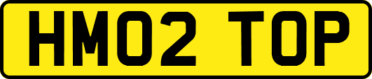 HM02TOP