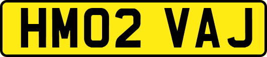HM02VAJ