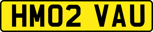 HM02VAU