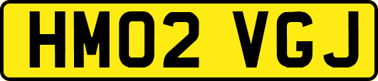 HM02VGJ