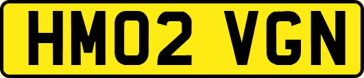 HM02VGN