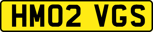 HM02VGS