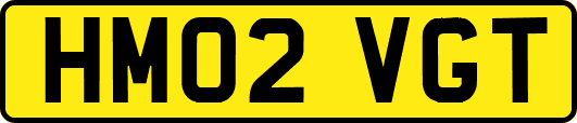 HM02VGT