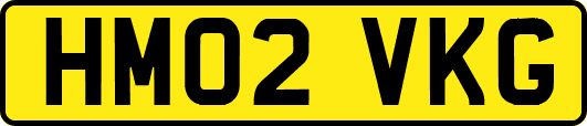 HM02VKG