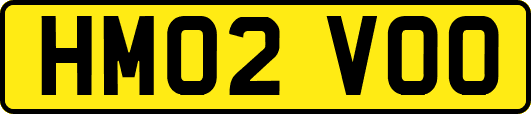 HM02VOO