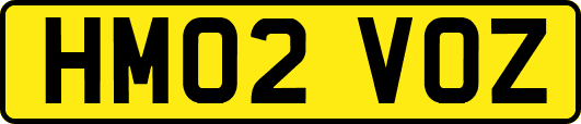 HM02VOZ