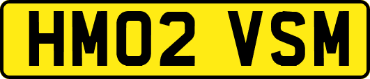 HM02VSM