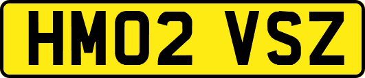 HM02VSZ
