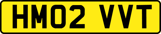 HM02VVT