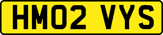 HM02VYS