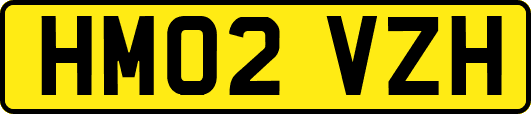 HM02VZH