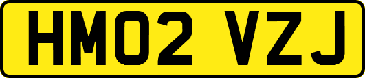 HM02VZJ