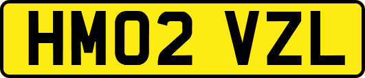 HM02VZL