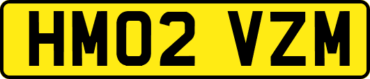 HM02VZM