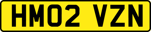 HM02VZN