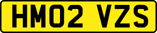 HM02VZS