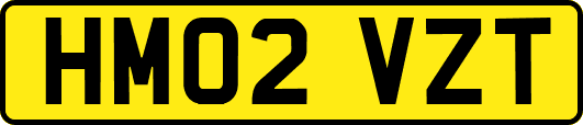 HM02VZT
