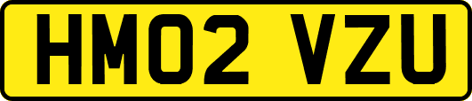 HM02VZU