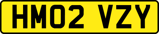 HM02VZY