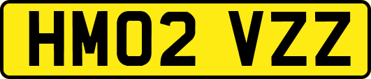 HM02VZZ