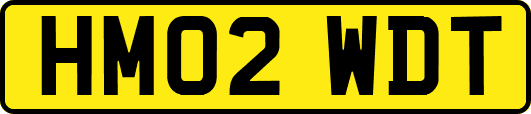 HM02WDT