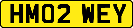 HM02WEY