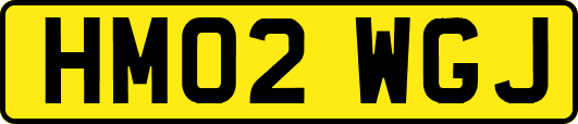 HM02WGJ