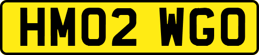 HM02WGO