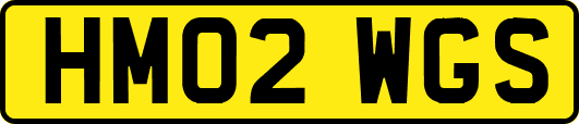HM02WGS