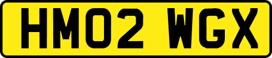 HM02WGX