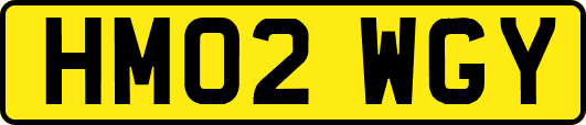 HM02WGY