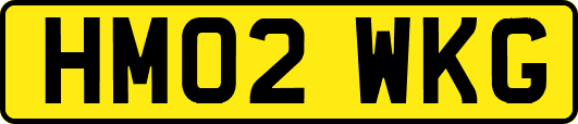 HM02WKG
