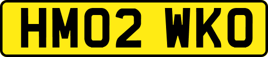 HM02WKO