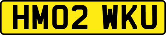 HM02WKU