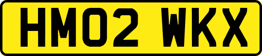 HM02WKX